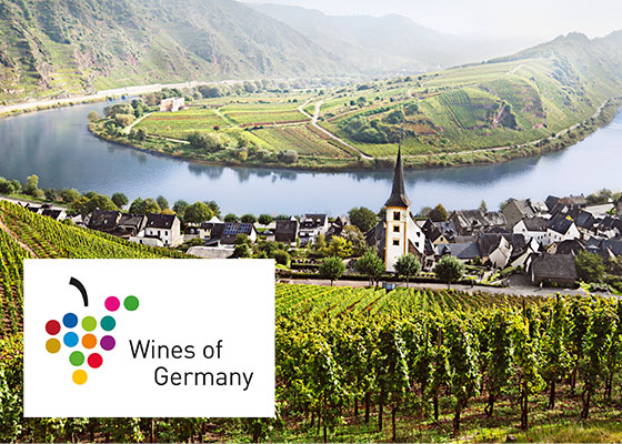 Scenic image of a Mosel river valley 