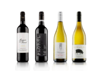 The Best Of Vintage by Saga Four Bottle Mixed Case