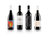 The Best Of Vintage by Saga Four Bottle Red Case