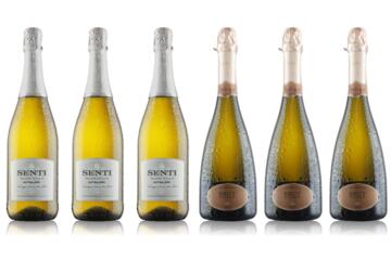 Six Bottle Prosecco And Fizz Case