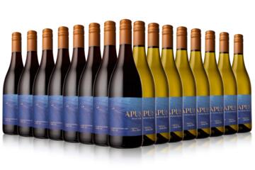 Apus Sauvignon Blanc and Pinot Noir Bumper Box