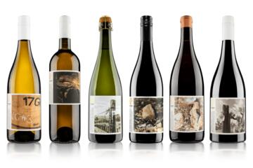 Vineyard Collection Six Pack