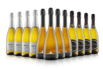 12 Bottle Prosecco Case
