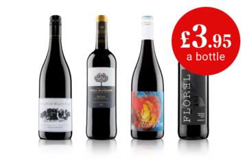 Discovery Wine Club Monthly Welcome Red Case