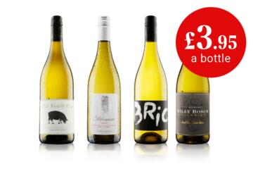 Discovery Wine Club Monthly Welcome White Case