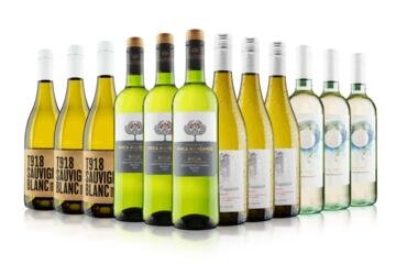 Blow Your Socks Off White Wine Case