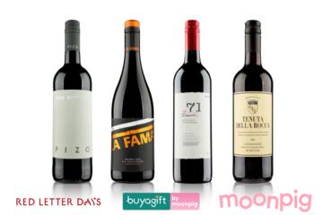 Discovery Wine Club – Monthly 4-Bottle Welcome Case (Red)