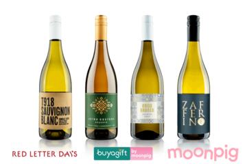 Discovery Wine Club – Monthly 4-Bottle Welcome Case (White)