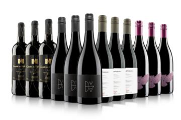 Bestsellers Red Wine Case