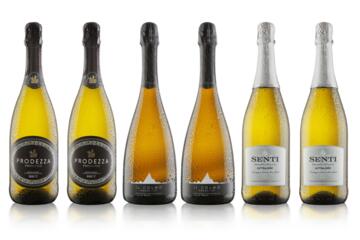 Six Bottle Prosecco Case