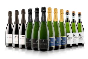 Luxury Fizz Selection