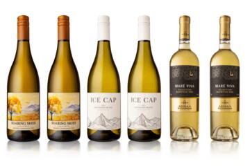 Six Bottle White Wines Offer
