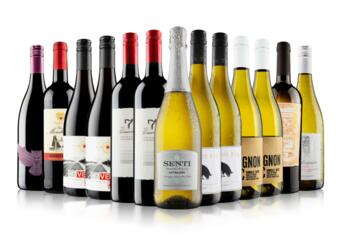 Vino Voyage Discovery Wine Set 12 Bottle Mixed – Splash Wines