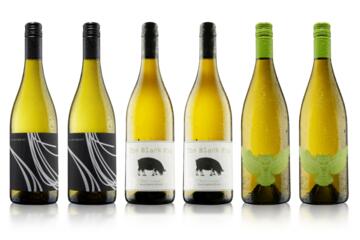 Sauvignon Blanc Six Pack
