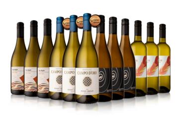 12 Bottle Pinot Grigio Selection