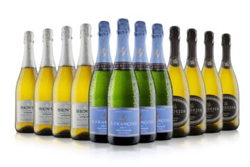 12 Bottle Prosecco and Fizz Case