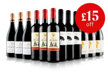 Festive Bargain Red Case