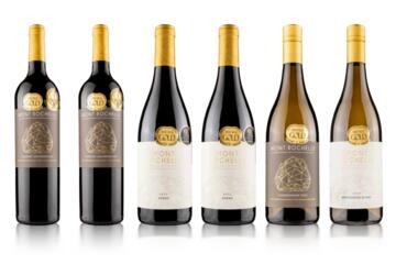 Virgin Wines Mont Rochelle WineBank Selection