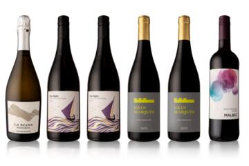 Three Exclusive Six Bottle Red Welcome Case