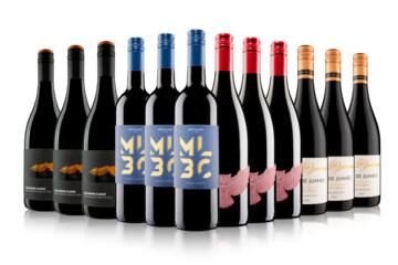 Blow Your Socks Off Red Wine Case