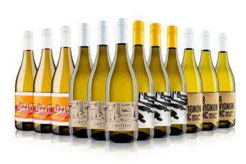 Blow Your Socks Off White Wine Case