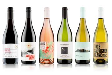 Bright Start Six Bottle Spring Case