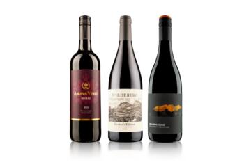 Bright Start Coastal Region Red Trio