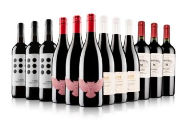 Essentials Red Wine Case