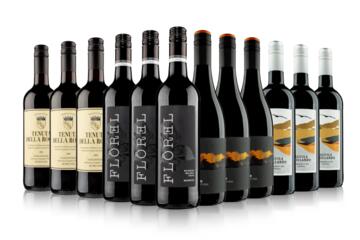 Globetrotter Red Wine Case