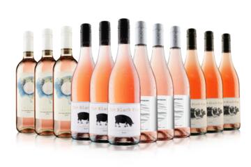 Blow Your Socks Off Rosé Wine Case