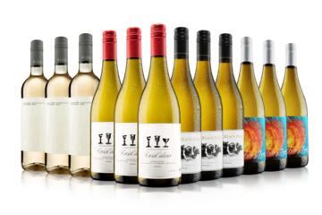 Boutique on a Budget White Case