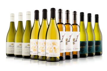 Spring Luxury White Case