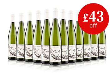 Le Zeitgeist Cotes du Thau Piquepoul