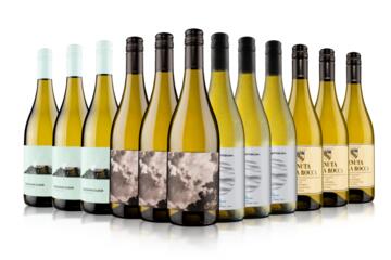 Blow Your Socks Off White Wine Case