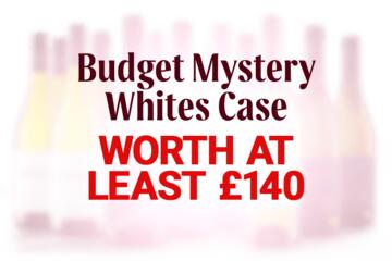 Budget Mystery White Case