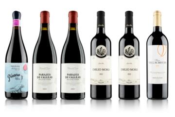 Wines of Ribera del Duero