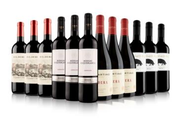 Mastermind Winemakers Red Wine Case