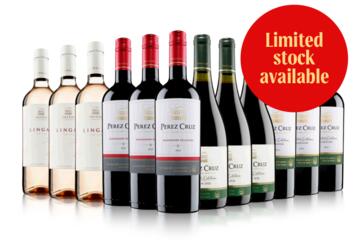 Perez Cruz Rose and Red Case