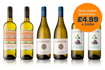 Sun Club Six Bottle White Welcome Case