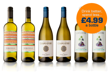 Sun Club Six Bottle White Welcome Case