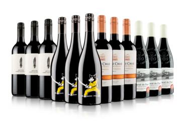 Aficionados Only 12 Bottle Red Wine Case