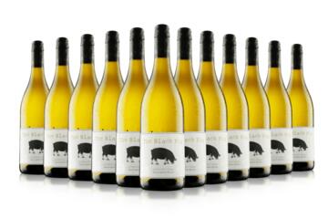 12 x Black Pig Sauvignon Blanc