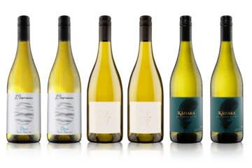 Six of the Best White Wine Case