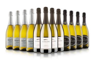 12 Bottle Prosecco and Fizz Case