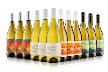 Bank Holiday Bargain White Case