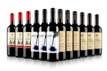 Blow Your Socks Off Red Wine Case