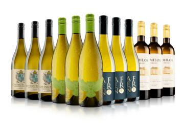 Blow Your Socks Off White Wine Case