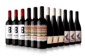 12 Bottle Shiraz Selection