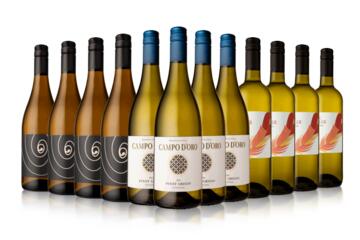 12 Bottle Pinot Grigio Selection