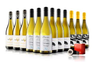 The Go-To Summer Selection White Case
